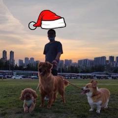 熊灿灿的头像